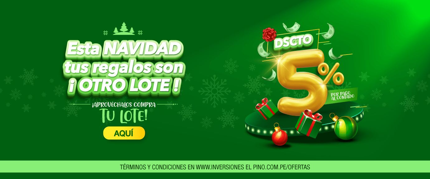 Promoción Navidad
