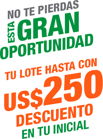 promo lotes